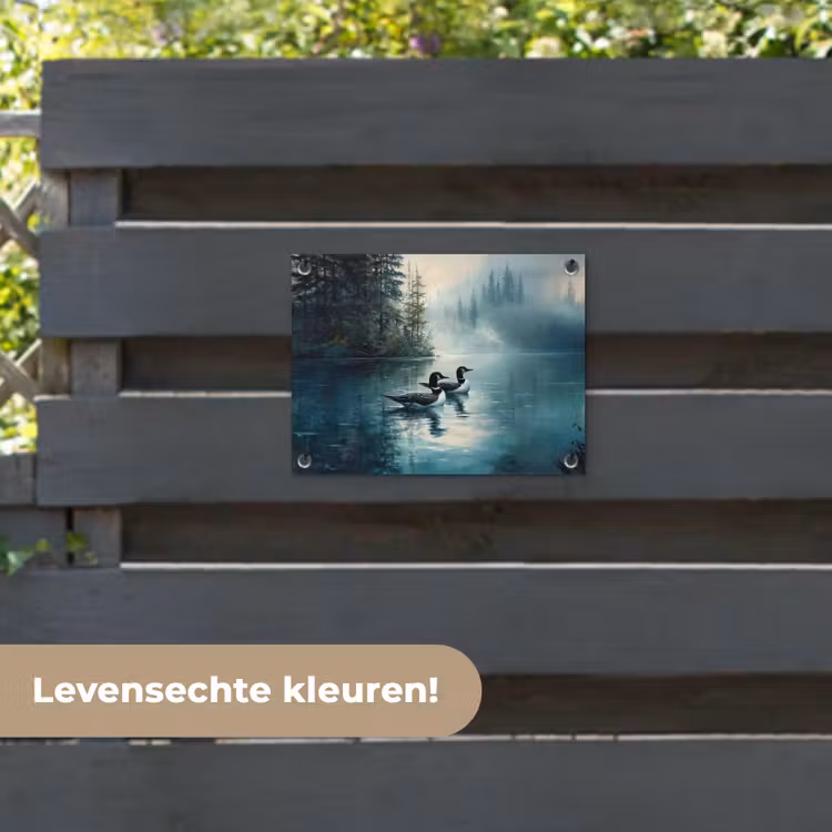 Tuinposter - Bos - Water - Eenden - Mistig — 6