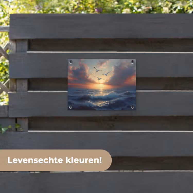 Tuinposter - Meeuwen - Zonsondergang - Zee - Wolken — 6