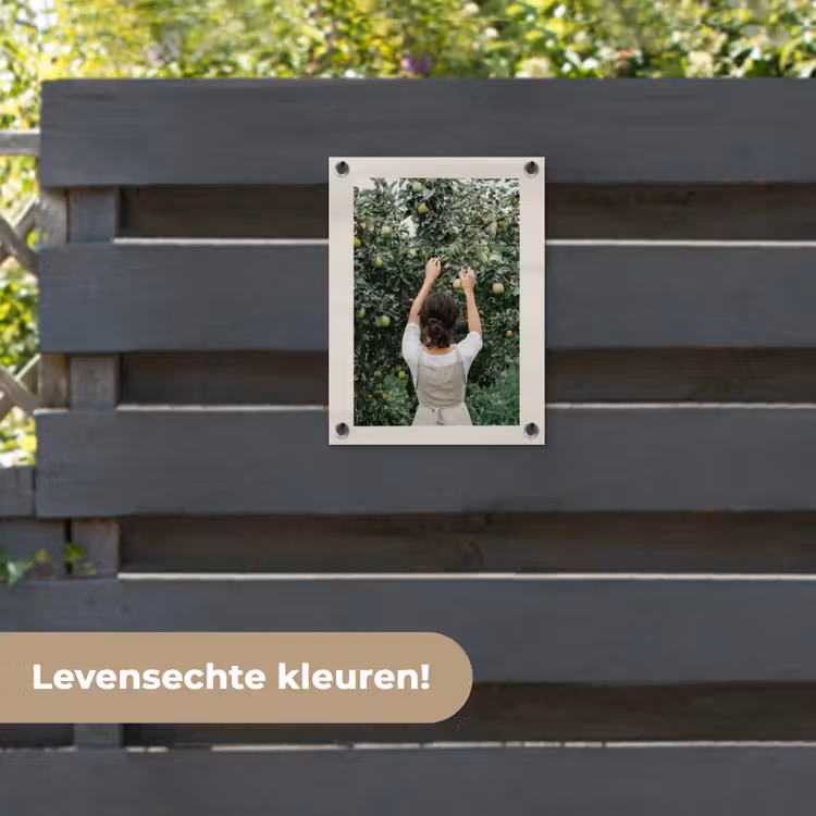 Tuinposter - Boom - Appels - Plukken - Natuur — 6