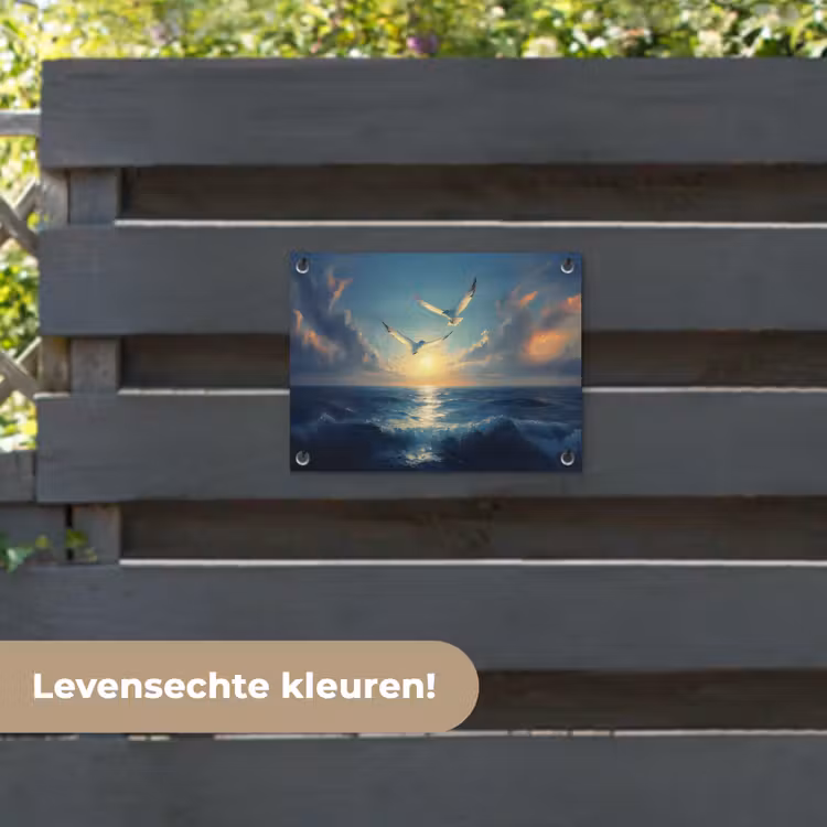 Tuinposter - Meeuwen - Zee - Wolken -Blauw — 6