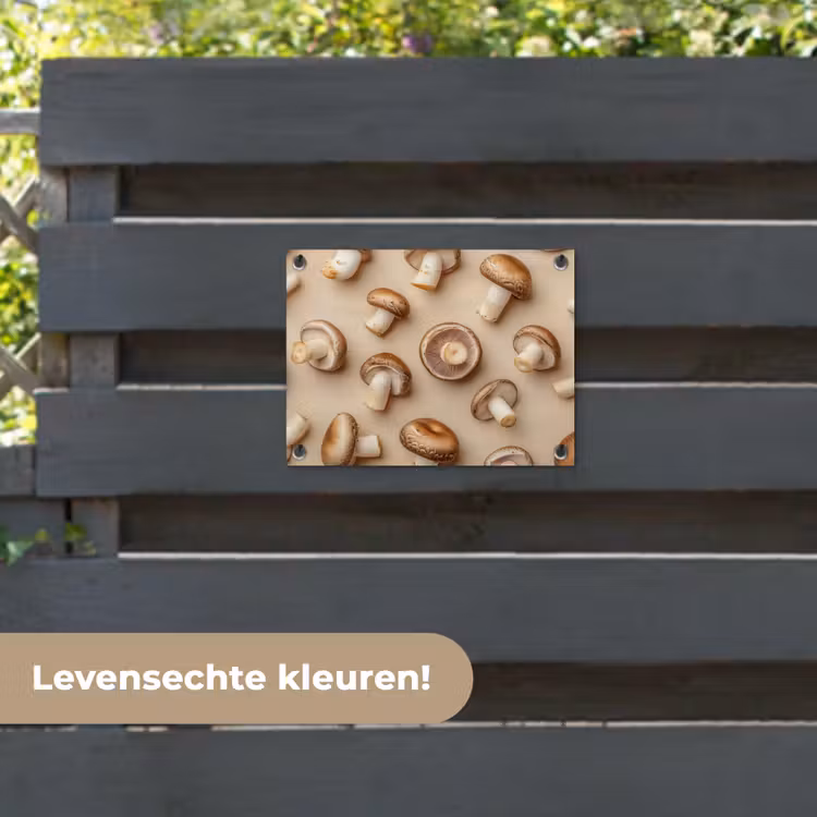 Tuinposter - Kastanje Champignons - Beige — 6