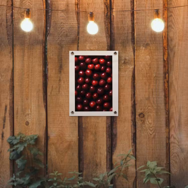 Tuinposter - Kersen - Rood — 3