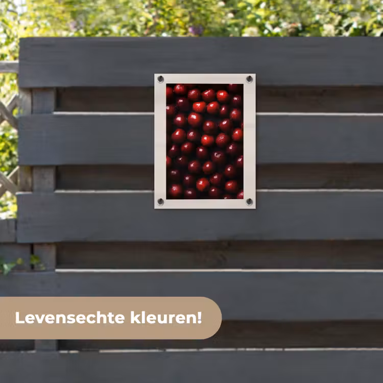 Tuinposter - Kersen - Rood — 6