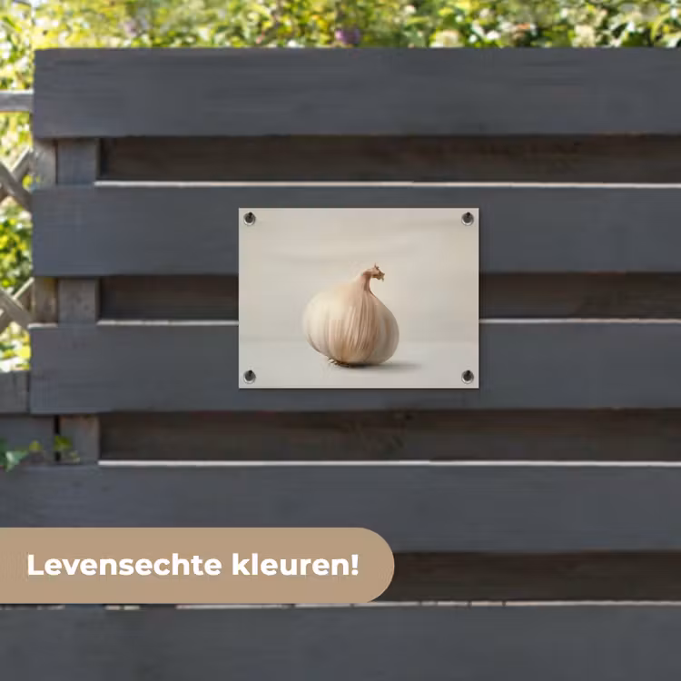 Tuinposter - Knoflook - Natuurlijk - Beige — 6