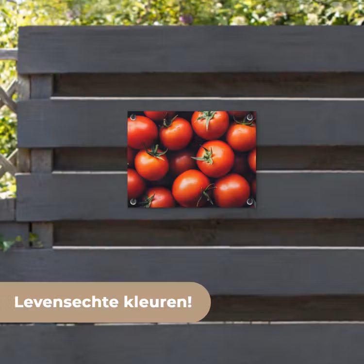 Tuinposter - Groente - Rood - Tomaten — 6