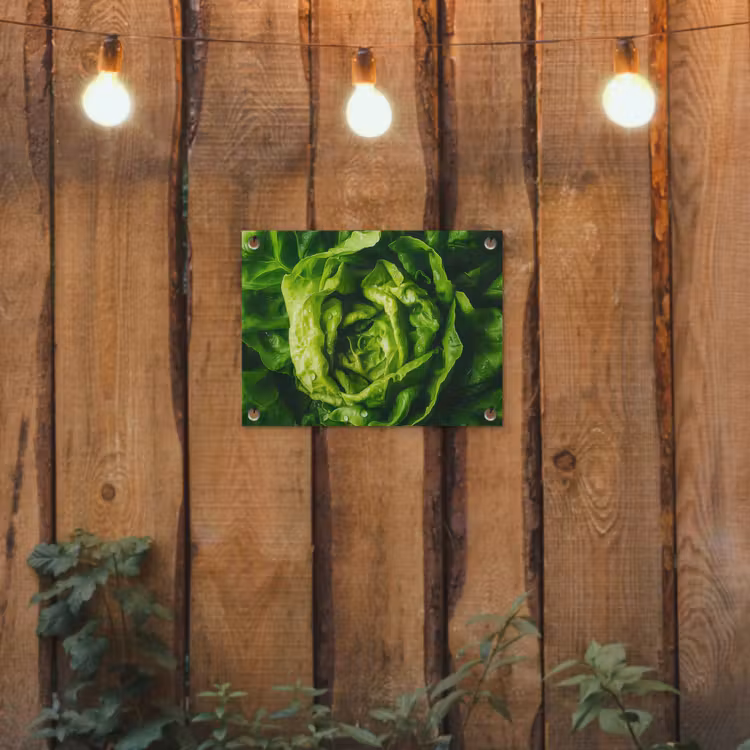 Tuinposter - Groente - Sla - Groen — 3