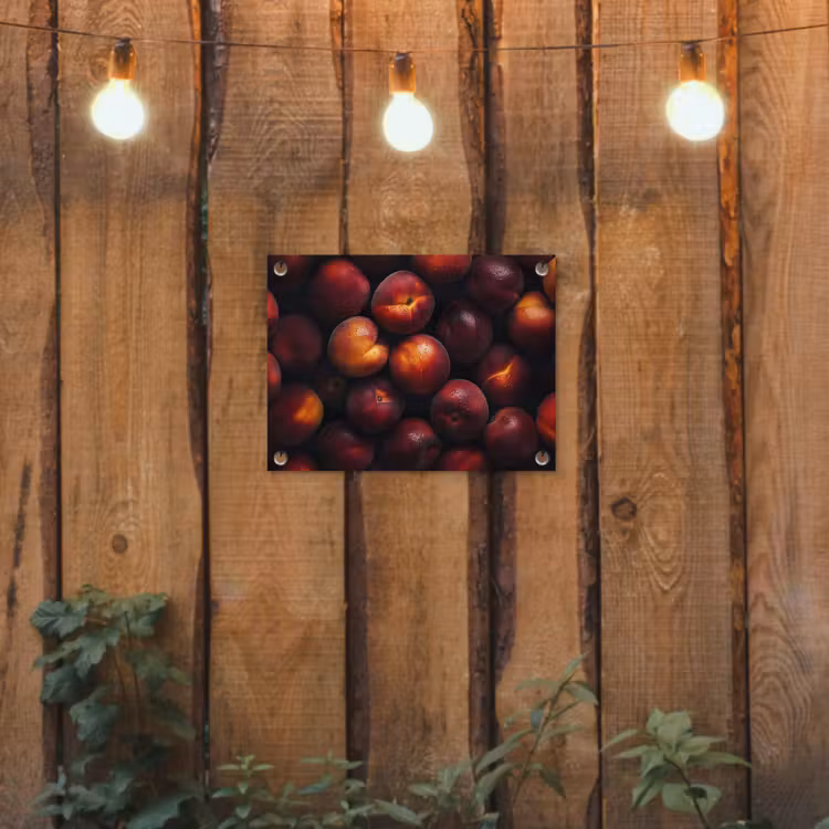 Tuinposter - Fruit - Close up - Nectarines — 3