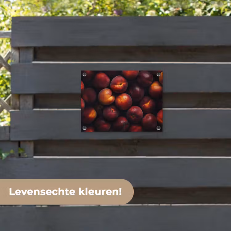 Tuinposter - Fruit - Close up - Nectarines — 6