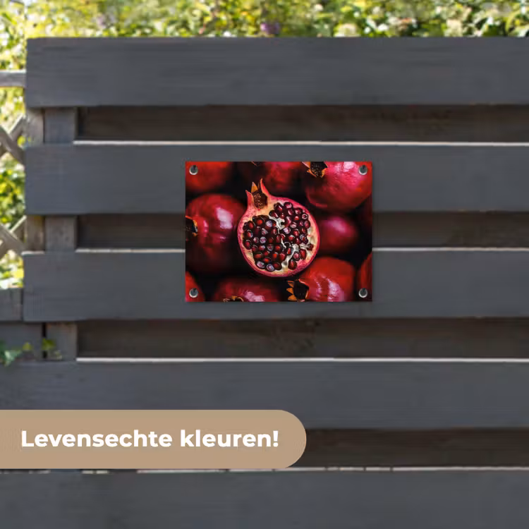 Tuinposter - Granaatappel - Rood - Fruit — 6