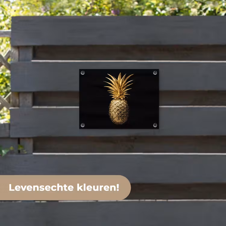 Tuinposter - Ananas - Zwart - Goud - Luxe — 6