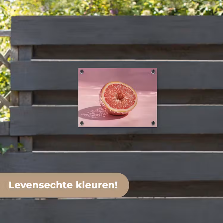 Tuinposter - Grapefruit - Roze - Disco - Shiny — 6