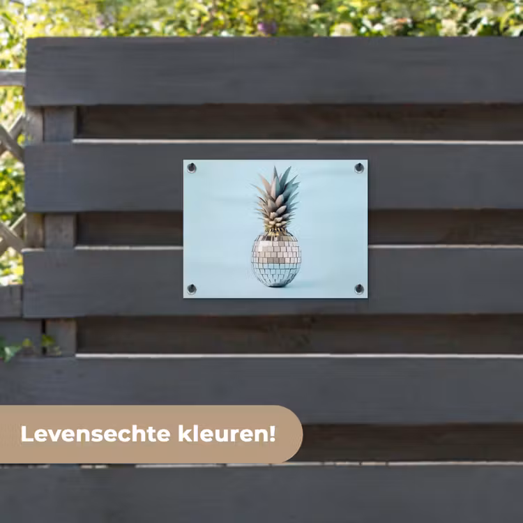 Tuinposter - Blauw - Ananas - Disco - Discobal — 6