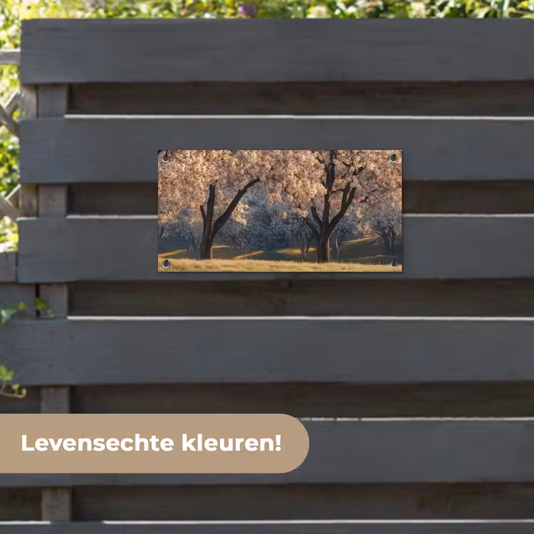 Tuinposter - Bomen - Bloesem - Lente — 6