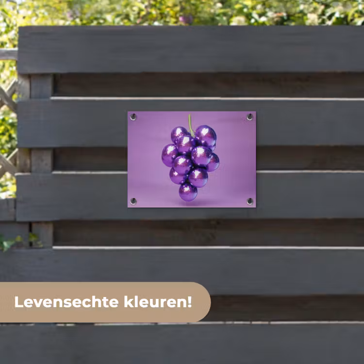 Tuinposter - Druif - Disco - Glitter - Paars — 6