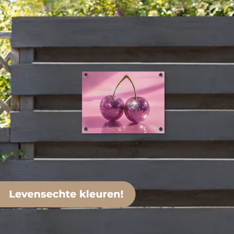 Tuinposter - Glitter - Discobol - Roze - Kersen — 6