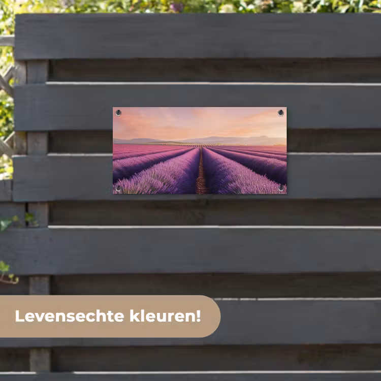 Tuinposter - Lavendelveld - Zonsondergang - Paars - Bloemen — 6