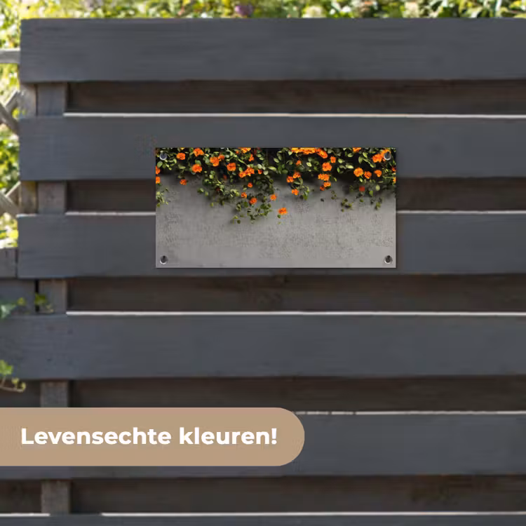Tuinposter - Bloemen - Muur - Oranje — 6