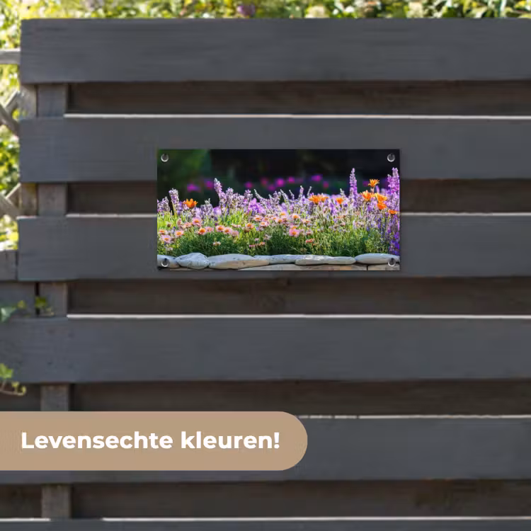 Tuinposter - Bloemen - Steenrand - Kleurrijk — 6