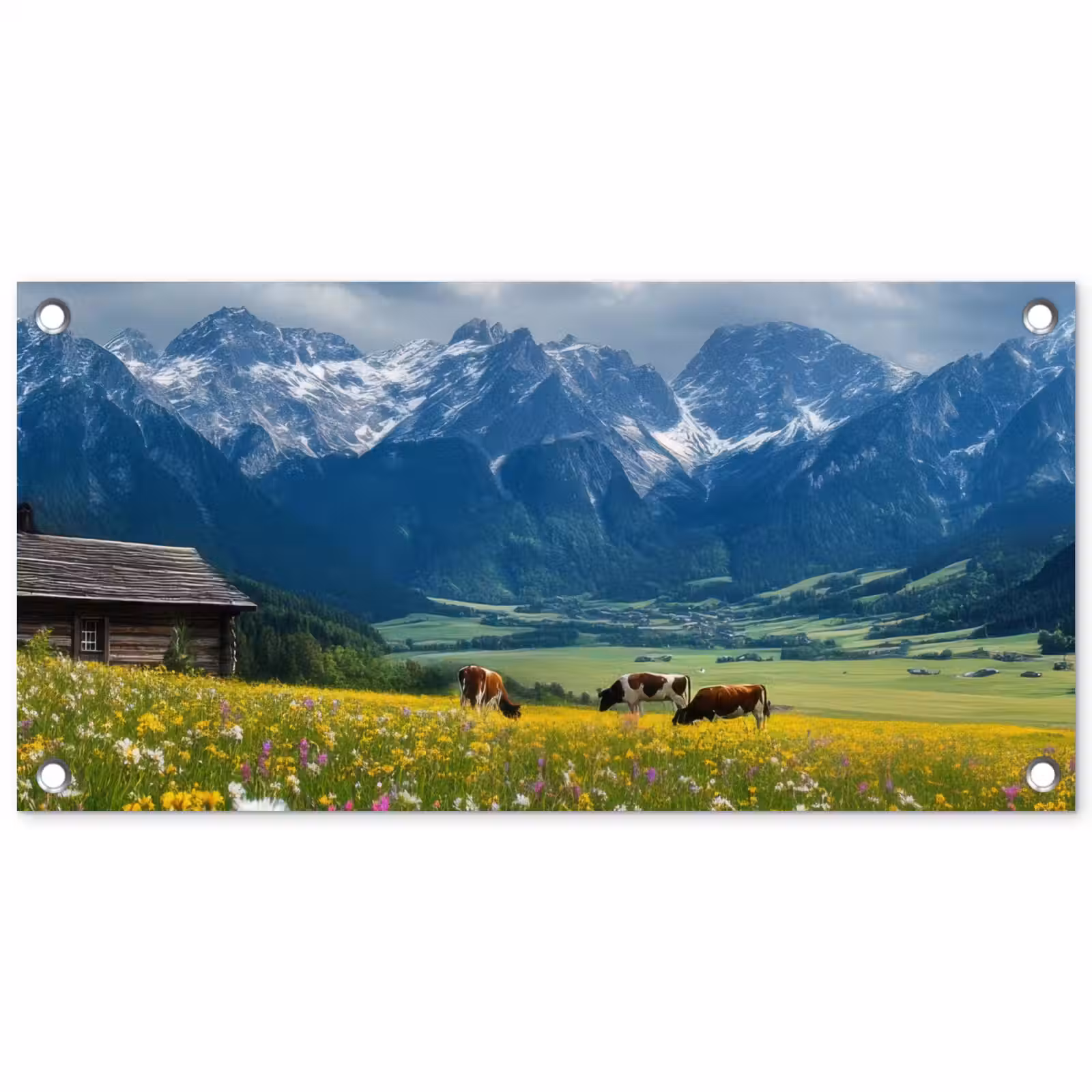 Tuinposter - Alpen - Weide - Bergen - Koeien — 1