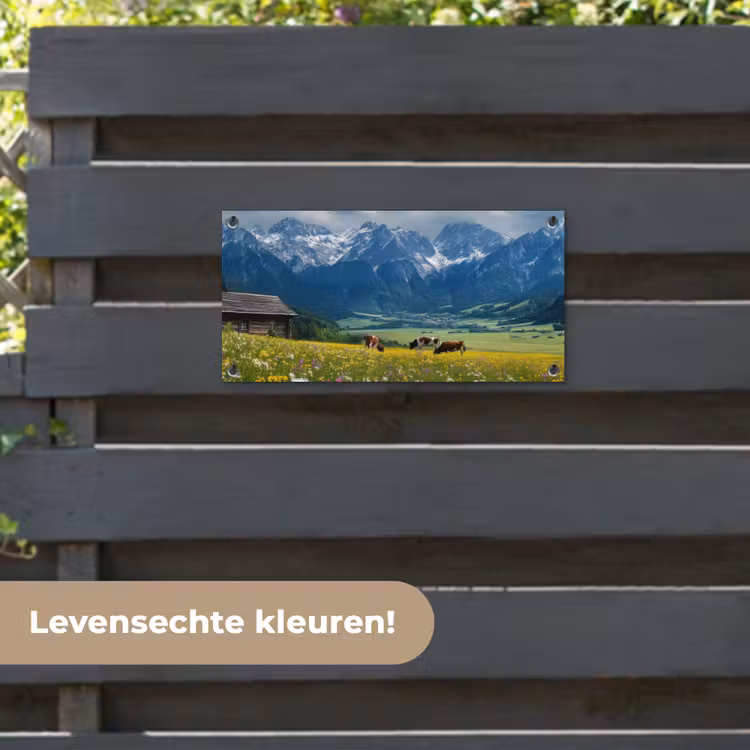 Tuinposter - Alpen - Weide - Bergen - Koeien — 6