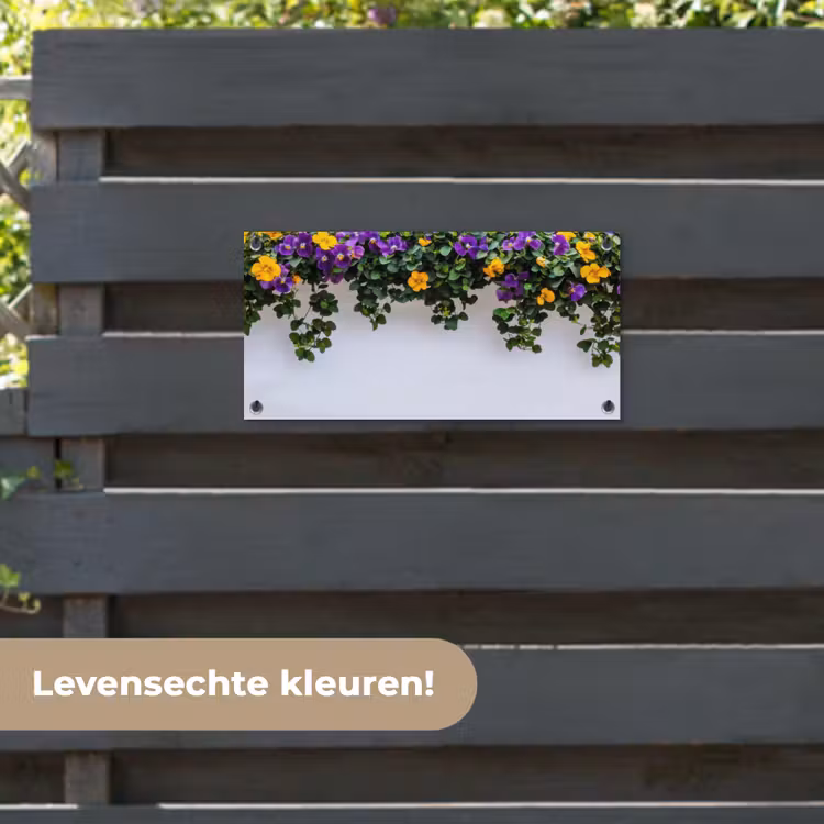Tuinposter - Bloemen - Muur - Geel - Paars — 6