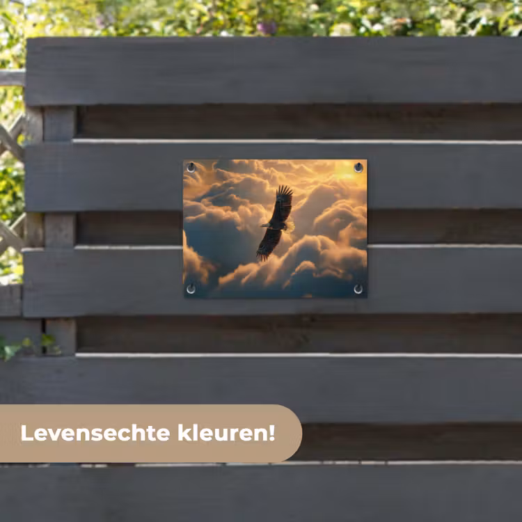 Tuinposter - Adelaar - Wolken - Zon — 6