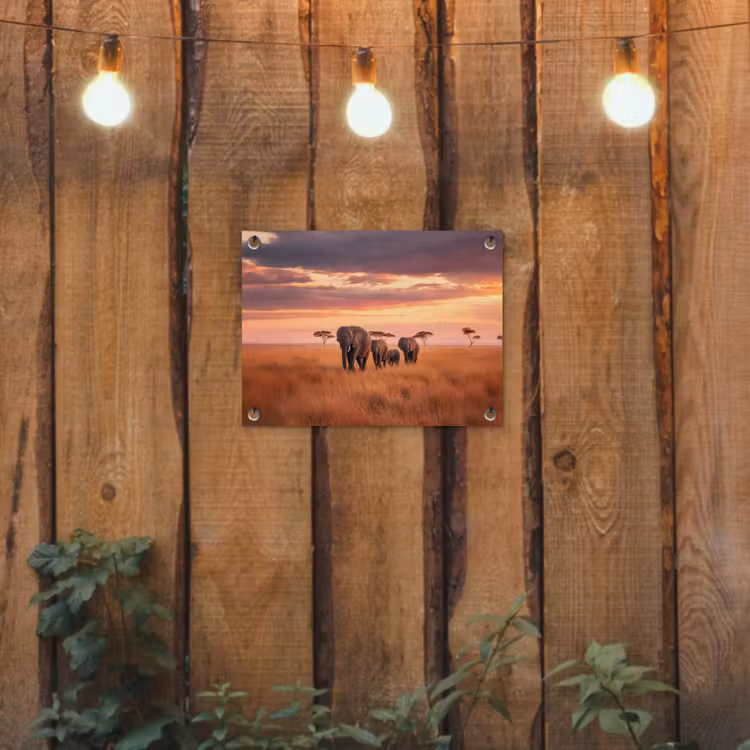 Tuinposter - Groep olifanten - Open vlakte - Zon — 2