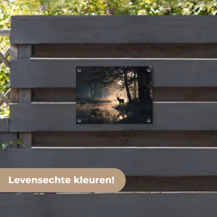 Tuinposter - Hert - Bosbeek - Mystiek — 6