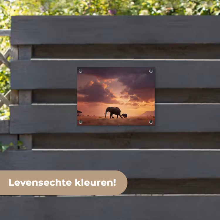 Tuinposter - Olifanten - Grasland - Zonsondergang — 6