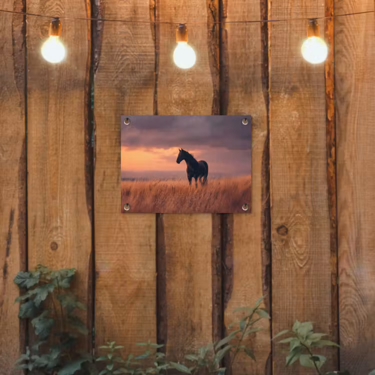 Tuinposter - Paard - Wolken - Open veld — 3