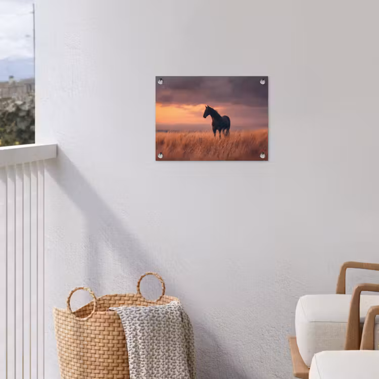 Tuinposter - Paard - Wolken - Open veld — 5