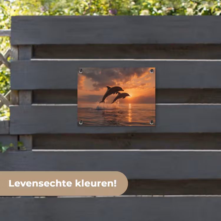 Tuinposter - Dolfijnen - Zee - Realistisch — 6