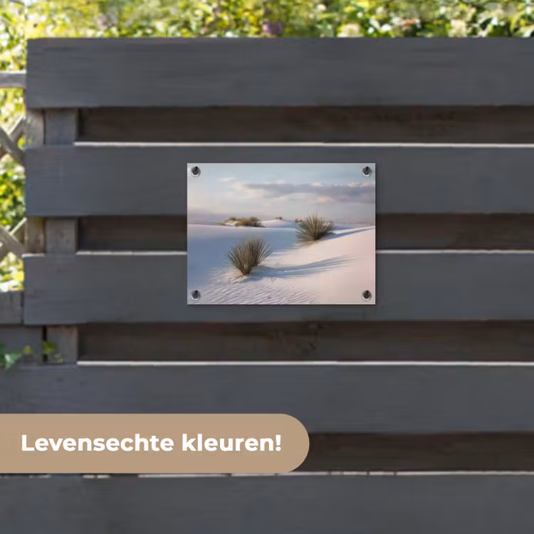 Tuinposter - Duinen - Gras - Wolken - Beige — 6
