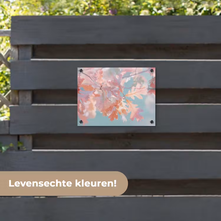 Tuinposter - Eikenbladeren - Takken - Roze — 6