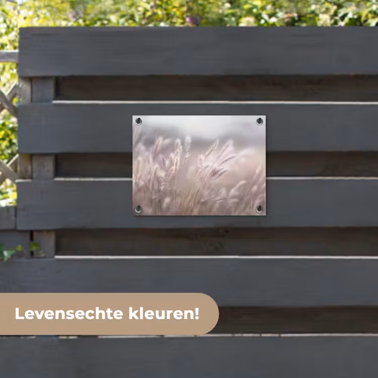 Tuinposter - Graspluimen - Wind - Beige - Mistig — 6