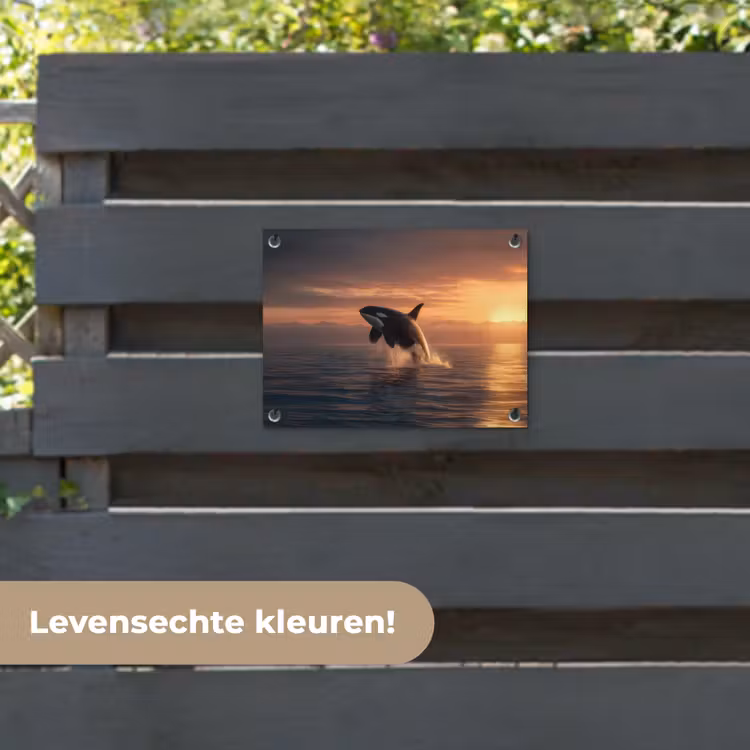 Tuinposter - Orka - Zee - Zonsondergang — 6