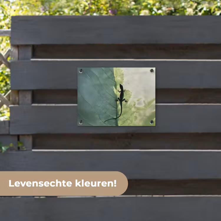 Tuinposter - Hagedis - Blad - Nerven - Groen — 6