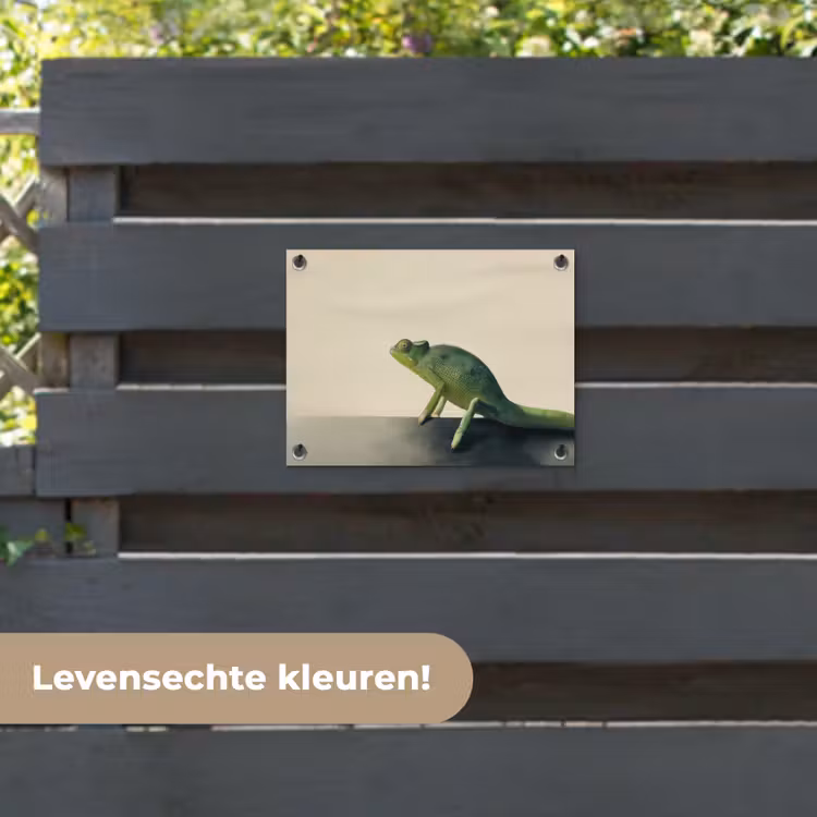 Tuinposter - Kameleon - Groen - Minimalistisch — 6