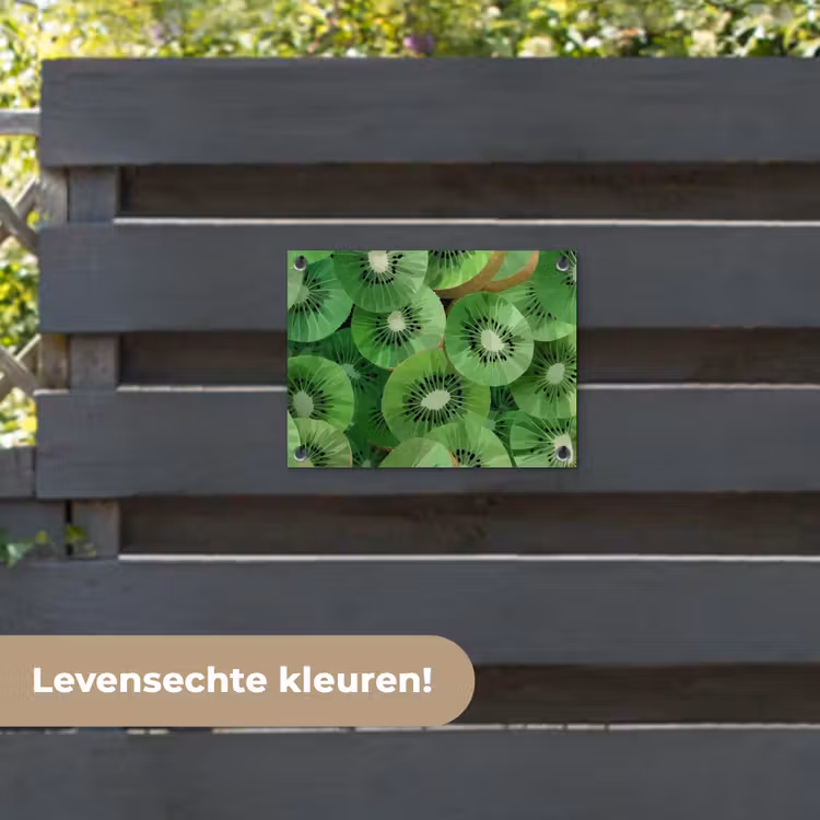 Tuinposter - Kiwi - Groen - Pitten — 6