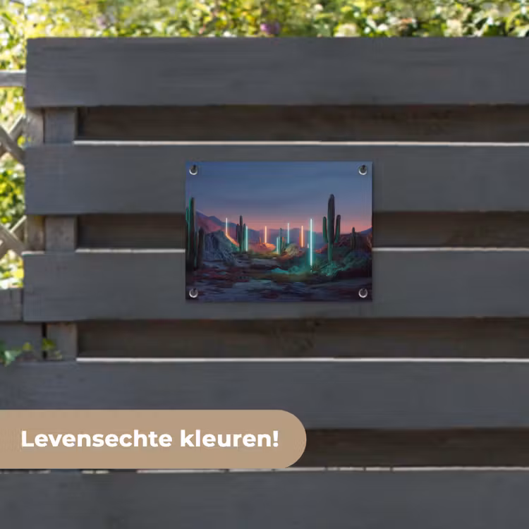 Tuinposter - Cactus - Lichtzuilen - Zonsondergang — 6