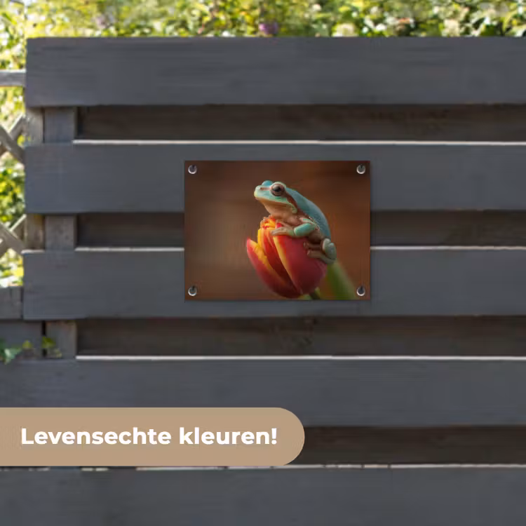 Tuinposter - Close-up - Kikker - Tulp - Rood — 6