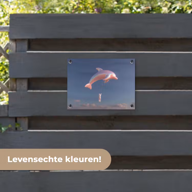 Tuinposter - Dolfijn - Roze - Astronaut — 6