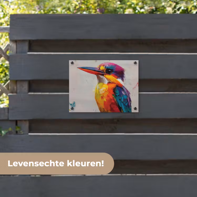 Tuinposter - Ijsvogel - Paars - Penseelstreken - Kleurrijk — 6