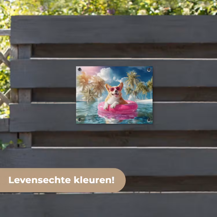Tuinposter - Corgi - Zwemband - Roze - Zonnebril — 6