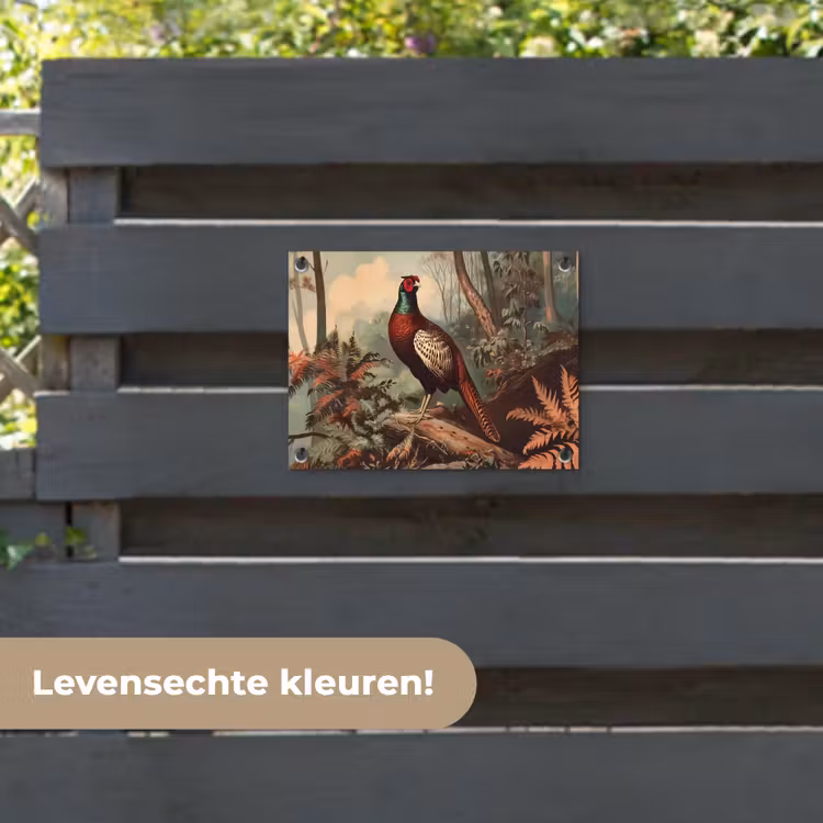 Tuinposter - Fazant - Bos - Groen - Landschap — 6