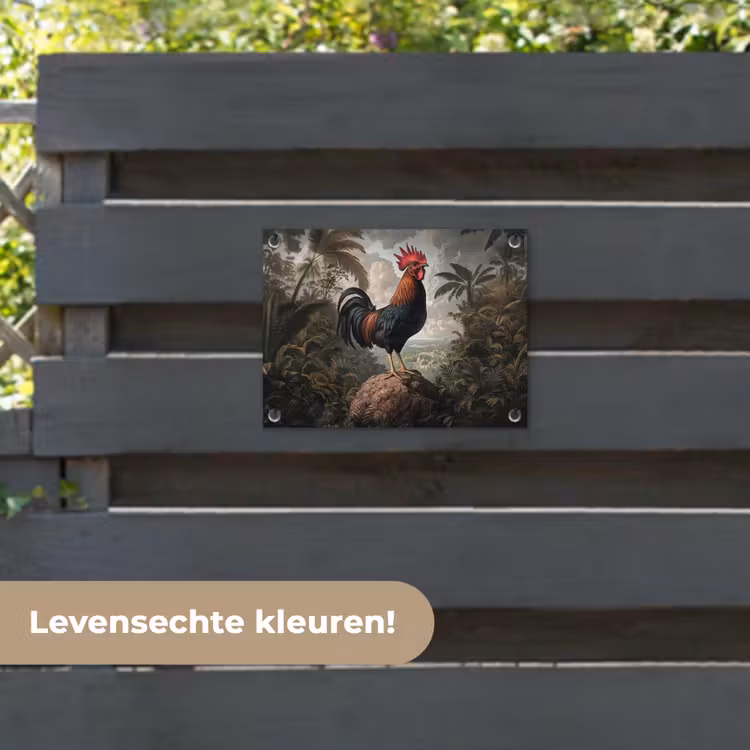 Tuinposter - Haan - Rots - Landschap - Wolken — 6