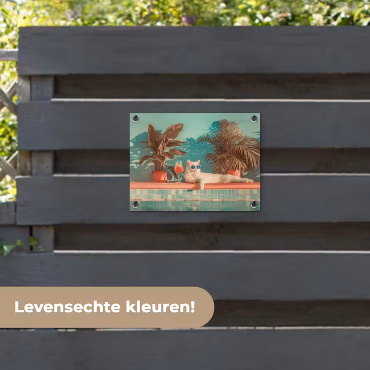 Tuinposter - Kat - Zwembad - Zonnebril - Drankje — 6