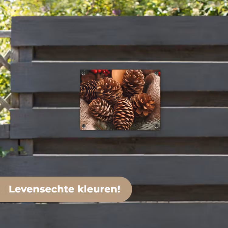 Tuinposter - Dennenappels - Boom - Winter - Natuur - Bruin — 6