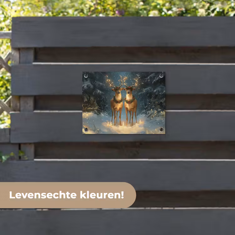 Tuinposter - Dennensprookje - Rendier - Nacht — 6