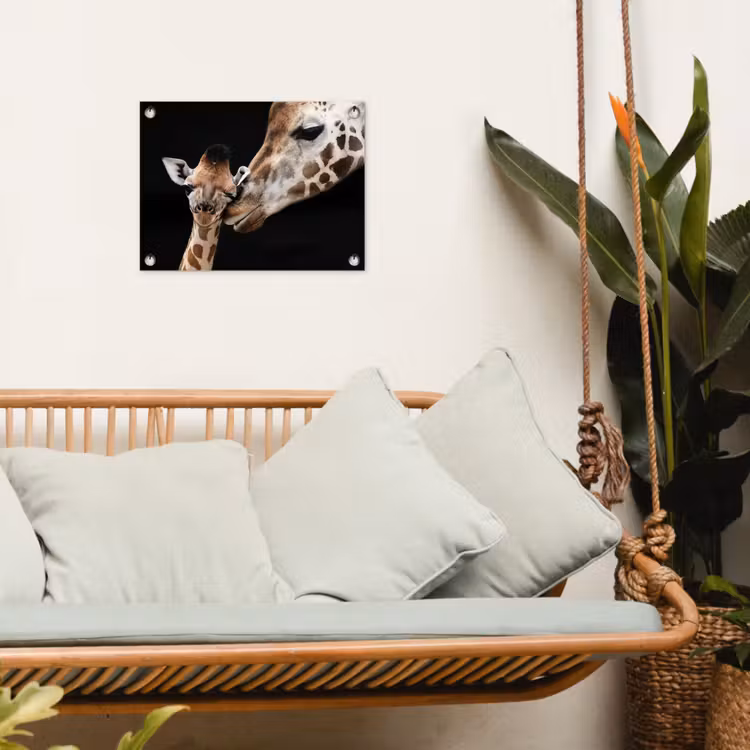 Tuinposter - Giraffe - Dieren - Zwart - Portret - Dieren — 4